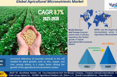 Global Agricultural Micronutrients Market Research Report, Latest News, Status and Forecast by 2028 | VynZ Research