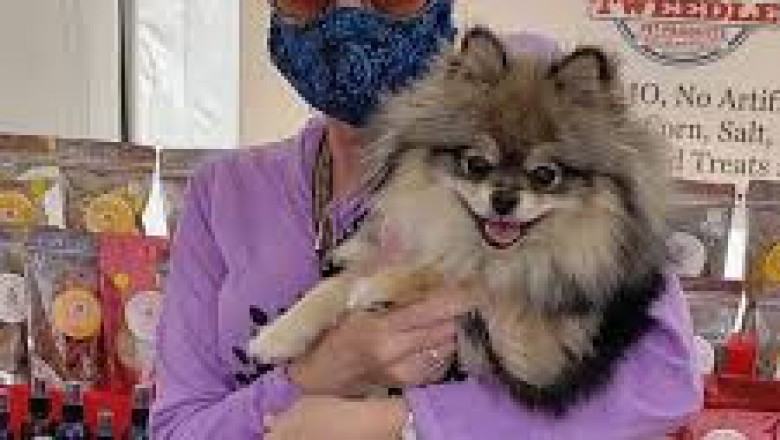 Here You Get the Best Product for Your Pet