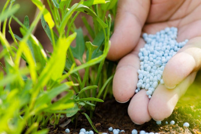 Nitrogenous Fertilizers Market 2022 Major Key Players and Industry Analysis Till 2028