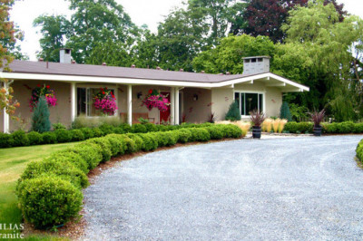 Outdoor Living Design Denver - Dahlias & Granite