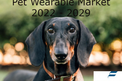 Pet Wearable Market Segmentation, Current and Future Forecasts To 2029