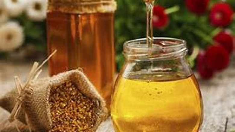 Royal Jelly Market Competitive Landscape and its Industry Growth Prospect By 2028