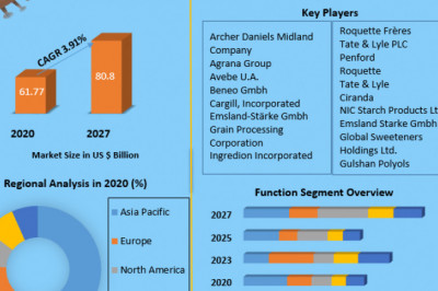 Starch Derivatives Market Analysis of The Major Products, Application Segments And Market Size with sales volume and Supply