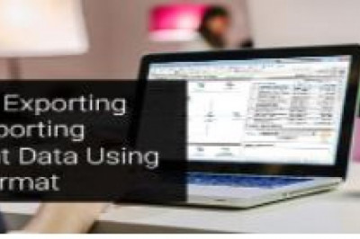 Step to Exporting and Importing Account Data using CSV Format in Sage