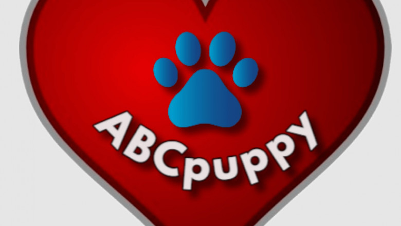 The Maltese breed has puppies for sale