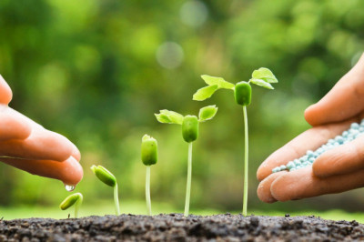 Biopesticides Pose Less Risk Than Synthetic Pesticides Used Today