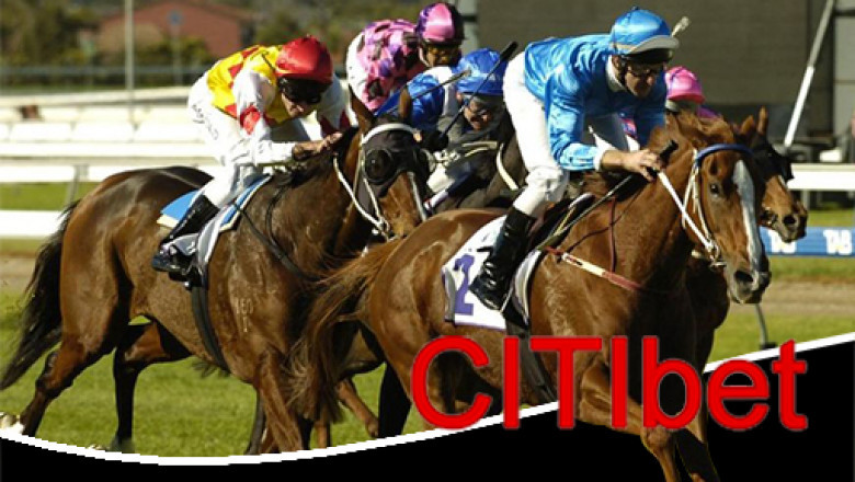 Find Free Online Horse Racing Predictions to Your Advantage