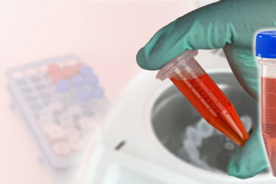 Global Blood Collection Tubes Market Players