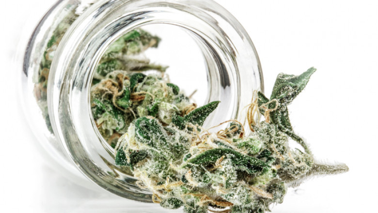 Hemp Products No Nonsense. Just Pure CBD