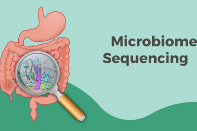 Microbiome Sequencing Services Market Size, Status, Growth | Industry Analysis Report 2022-2028