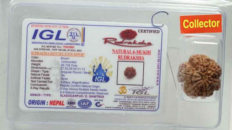 6 Mukhi Rudraksha Benefits