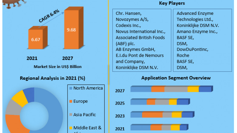 Industrial Enzymes Market Top Countries Survey, Company Profiles Review, Key Findings, Size, Share and Forecast 2029