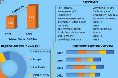 Industrial Enzymes Market Top Countries Survey, Company Profiles Review, Key Findings, Size, Share and Forecast 2029