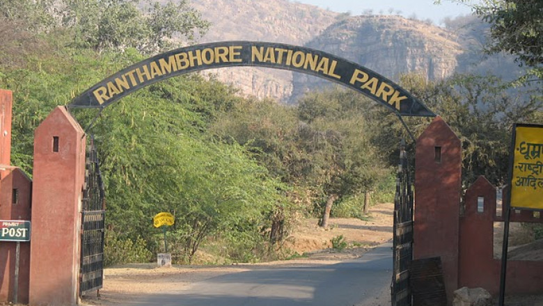 Ranthambore National Park Online Safari Booking Wildlife Sanctuary