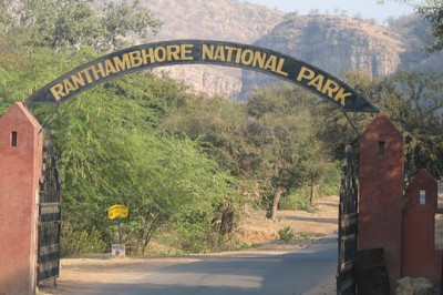 Ranthambore National Park Online Safari Booking  Wildlife Sanctuary