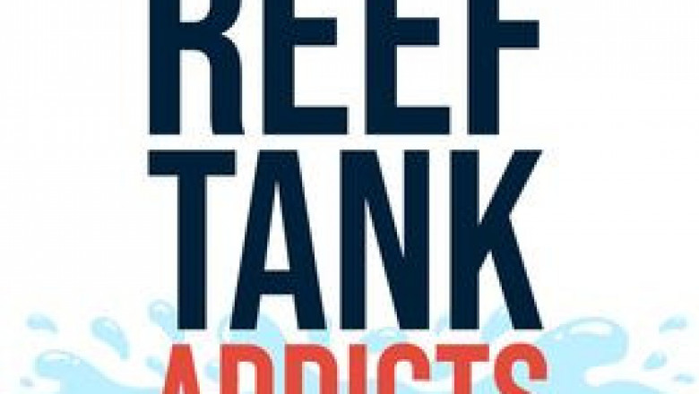 Comprehensive Care Guide for Fairy Wrasse - Reef Tank Addicts