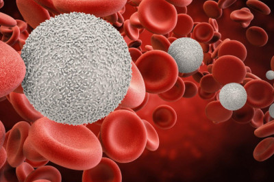 Hematology Market To See Huge Growth By 2021-2027 | Major Key Players