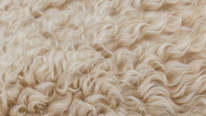 Pure Wool Market – Forecast (2021-2026)