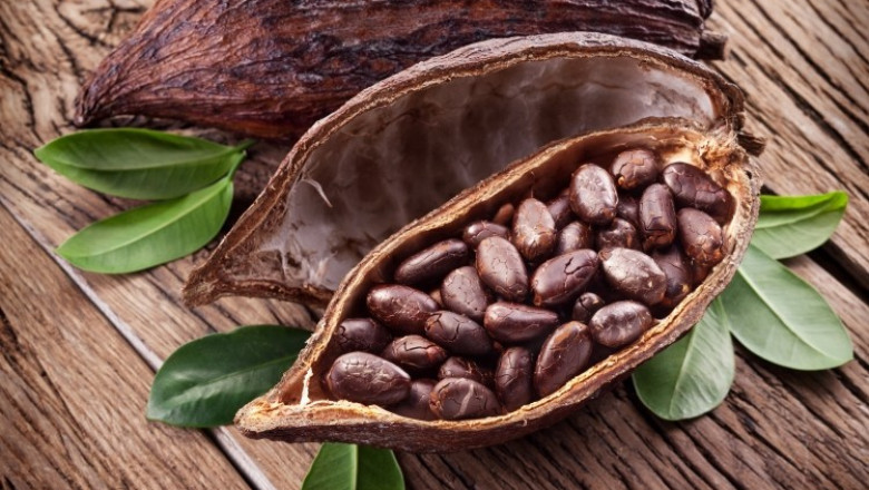 To Make Chocolate, Cocoa Seeds Are Dried And Fully Fermented