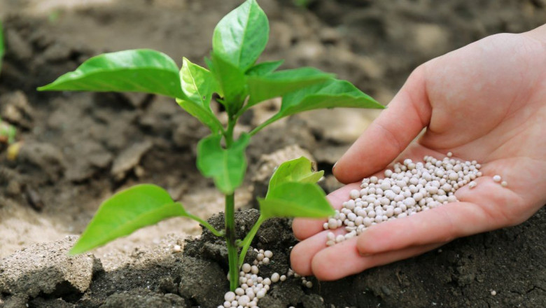 Biofertilizers Are Substances Containing Living Microorganisms That Colonise The Rhizosphere