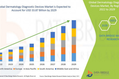 Dermatology Diagnostic Devices Market Leader