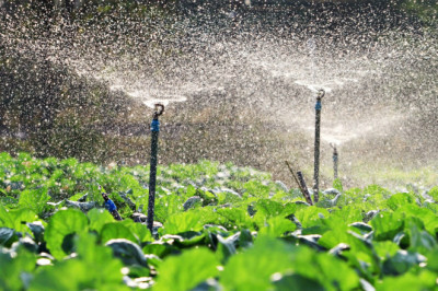 Drip Irrigation Market To 2027, Future Outlook, COVID-19 Impact Analysis, Forecast 2021-2027