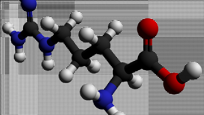 Global Arginine Market Drivers