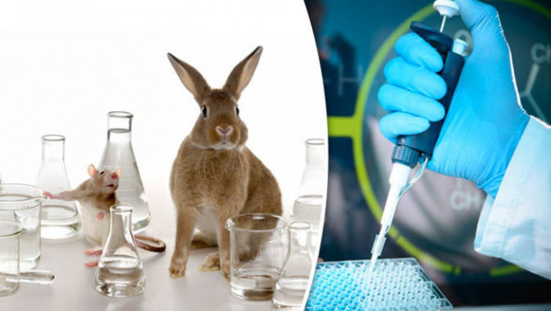 The Impact Of Animal Genetics On Agriculture And Animal Welfare Is Expected To Be Dramatic