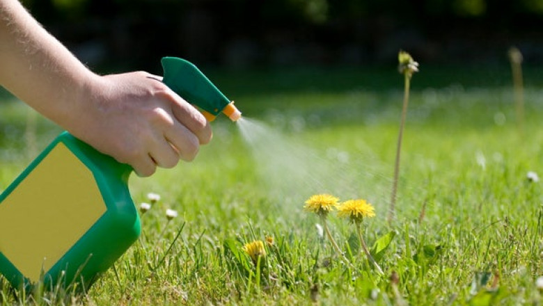 Agrochemicals Market Along with an In-depth Analysis of the Competitive Landscape 2022-2028