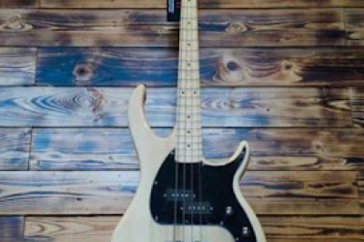 Benefits of the electric guitars — Musical Instruments Guide