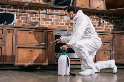 How to Control Pests in Your Home 2022