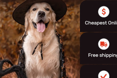 Knock Knock!!! MyPetSupplies surprises you with their special offers