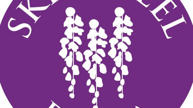 Monthly Offers - Skin Apeel Day Spa