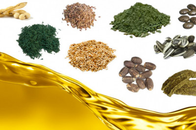 Oilseeds Market - Forecast (2022 - 2027)