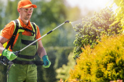 Pyrethroids Market Growth Production Analysis, Key Market Plans, Supply-Demand, Share and Size Elements and Recent Developments