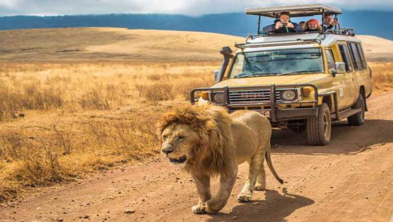 Safaris in Tanzania - The Ultimate Itinerary and Tour
