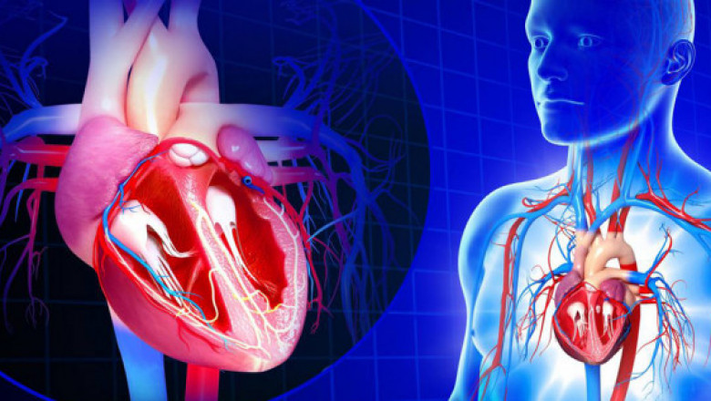 Top Trends &amp; Innovations in the Healthcare Industry