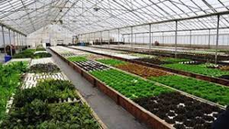 Aquaponic and Hydroponic Systems and Equipment Market Insights on Current Scope 2030