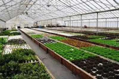 Aquaponic and Hydroponic Systems and Equipment Market Insights on Current Scope 2030