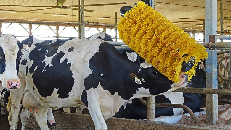Cow Comfort Brush Market Share, Revenue and Growth Analysis Report Till 2028 | Value Market Research