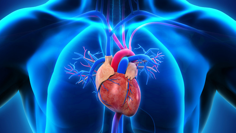 Electrophysiology Market Demand Analysis, Statistics, Industry Trends And Investment Opportunities To 2028