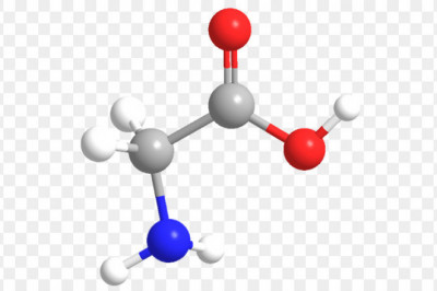 Glycine Is Used As An Amino Acid To Create Proteins In The Human Body