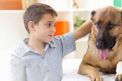 Know the Growth Restraints of Global Veterinary Pain Management Market, Forecast Analysis 2022-2028