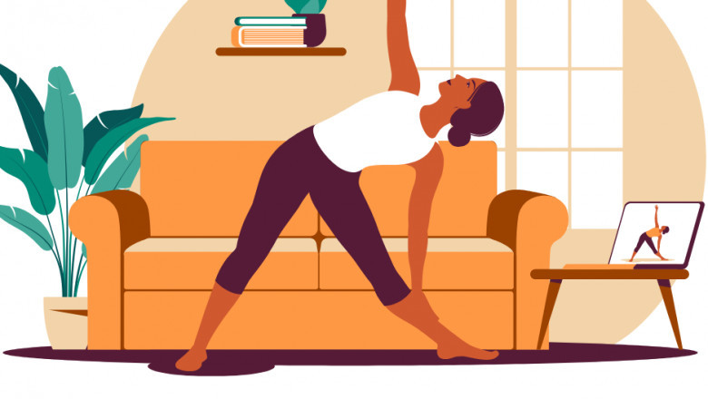 Online Fitness Program