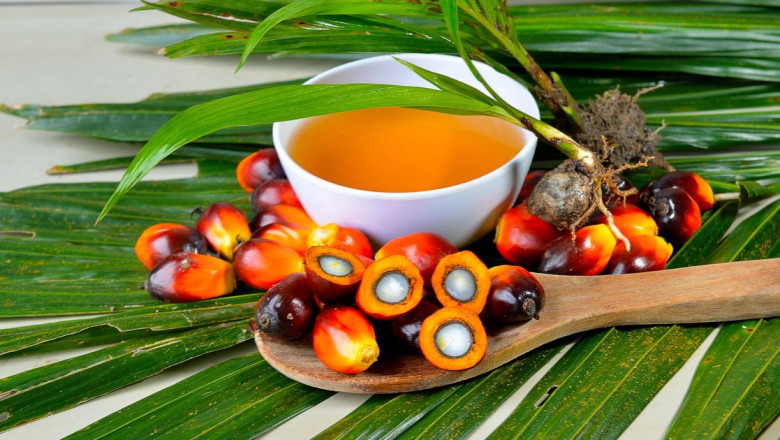 Palm Methyl Ester Derivative Market Forecast (2022-2027)