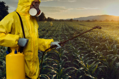 Pest Control Tips for Your Home and Office 2022