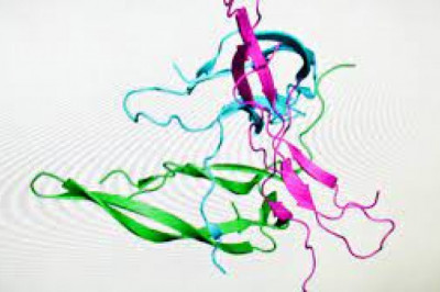 Transport Protein Assays Kits Market Size, Key Players Analysis And Forecast To 2028 | Value Market Research