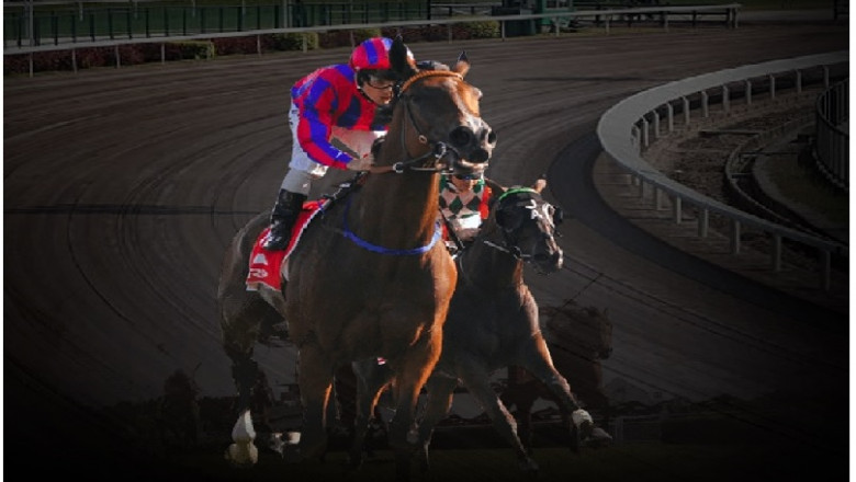 Advantages of Placing Bets on Football and Horse Racing Online