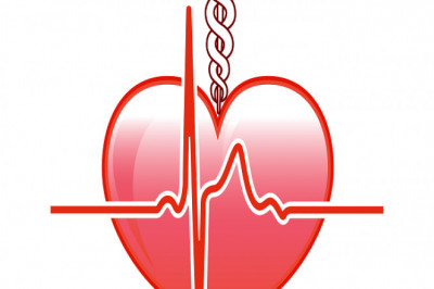 Essential Aspects of American Red Cross CPR and First Aid Certification