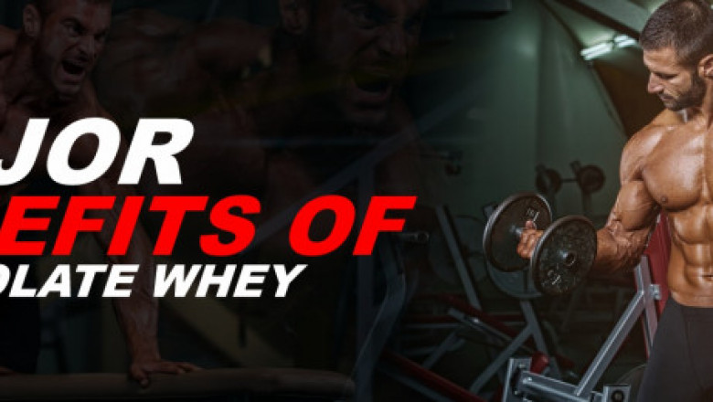 Isolate Whey Protein for Building Blocks of Muscles